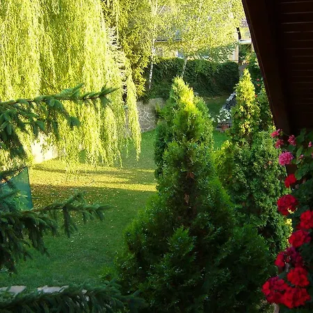 Club Leonardo Etterem Es Panzio